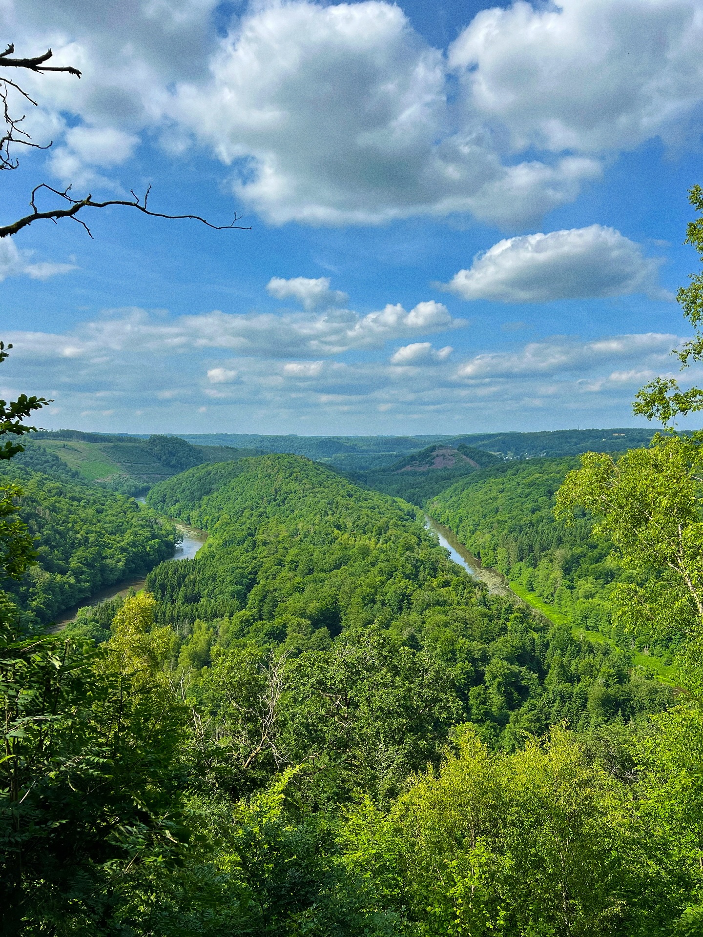 Point de vue de libaipire herbeumont parc national